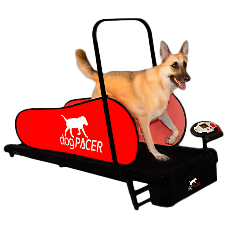 Best Overall: dogPACER LF 3.1 Dog Pacer Treadmill