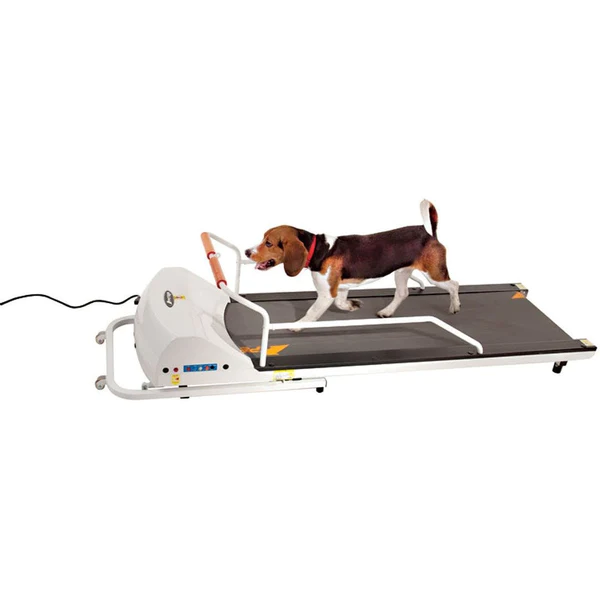 Best treadmill for medium dogs